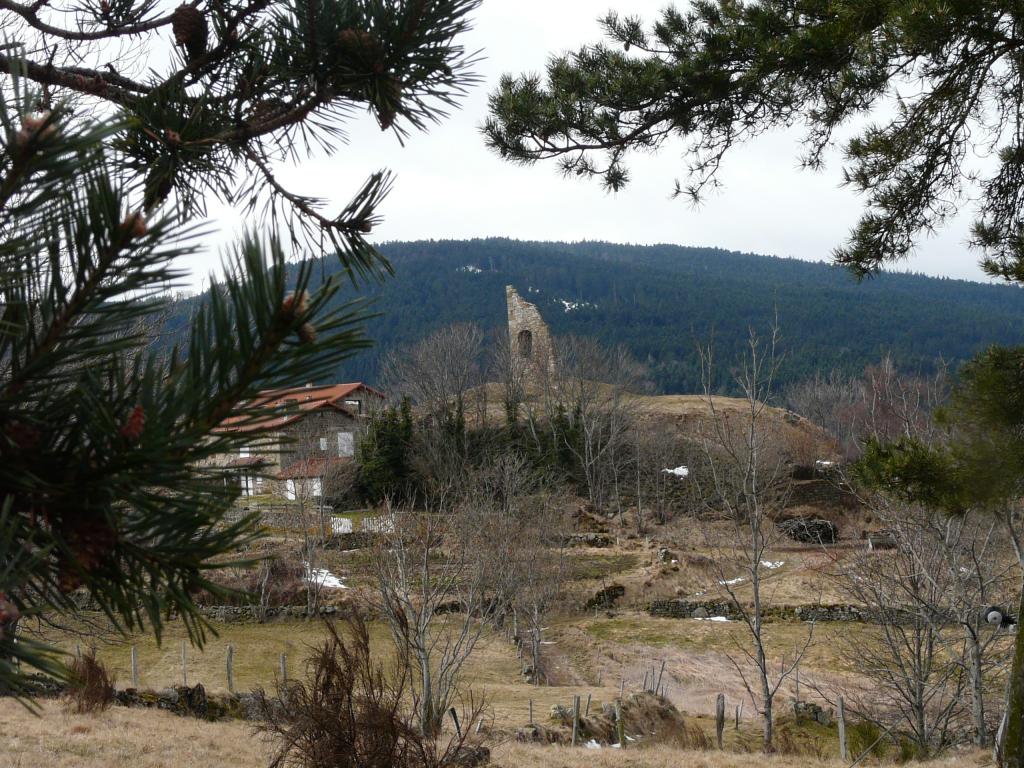 Burdignes, 08-03-09, 11-46.jpg